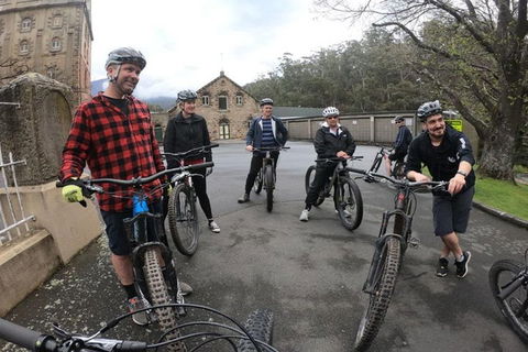 Explore Downhill Mountain In 3-Hour Bike Tour From Hobart - Accommodation Mt Buller 5