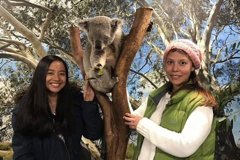 Australia Multi-City Attractions Pass - Accommodation Mt Buller 3