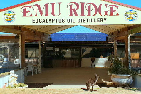 2-Day Kangaroo Island Safari From Adelaide - Accommodation Mt Buller 4