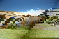 Bonorong Wildlife Park and Richmond Afternoon Tour from Hobart