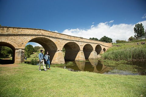 Bonorong Wildlife Park And Richmond Afternoon Tour From Hobart - Accommodation Mt Buller 0