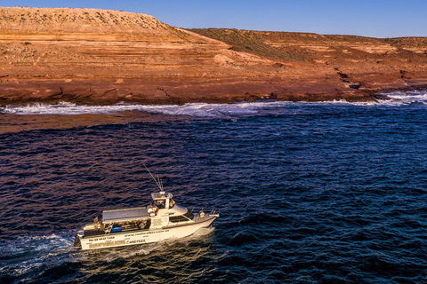 Kalbarri Sunset Coastal Cliff Cruise - Accommodation Mt Buller 4
