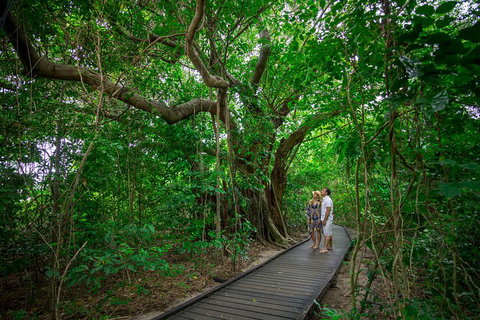 Green Island Eco Adventure From Cairns - Accommodation Mt Buller 0