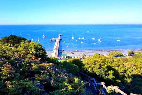 Mornington Peninsula Sightseeing Tour For 2-6 Guests. - Accommodation Mt Buller 1