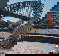 Sydney Private Tours by Locals 100 Personalized See the City Unscripted