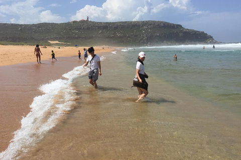 Small-Group Sydney's Northern Beaches And Ku-ring-gai National Park Bus Tour - Accommodation Mt Buller 5