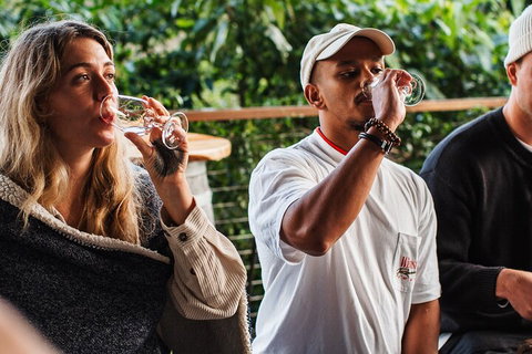 Full-Day Tour To Byron Bay Best Food And Drink Spots - Accommodation Mt Buller 1