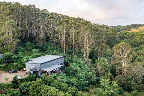 Full-Day Tour To Byron Bay Best Food And Drink Spots - Accommodation Mt Buller 3