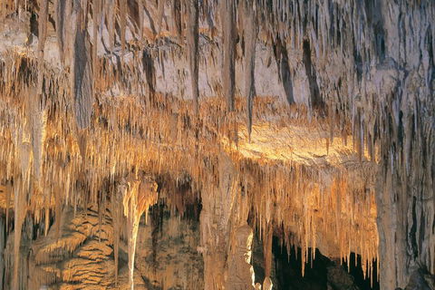 Margaret River, Caves, Wine And Cape Leeuwin Lighthouse Tour From Perth - Accommodation Mt Buller 3