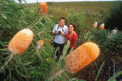 Best Of Perth Wildflower Season Day Trip - Accommodation Mt Buller 0