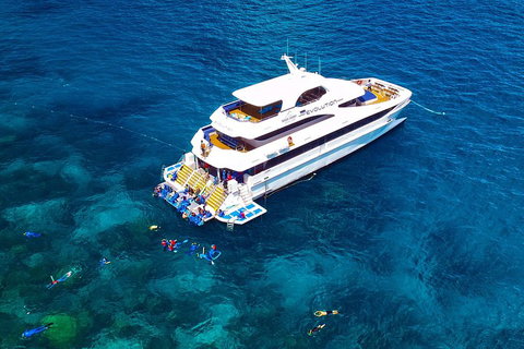 Great Barrier Reef Snorkeling And Diving Cruise From Cairns - Accommodation Mt buller 5