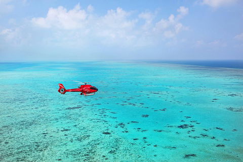Port Douglas Scenic Flights - Accommodation Mt Buller 0