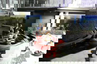 Sydney Attractions Pass SEA LIFE Aquarium Sydney Tower Eye WILD LIFE Zoo and Madame Tussauds