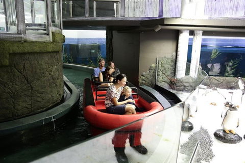 Sydney Attractions Pass: SEA LIFE Aquarium, Sydney Tower Eye, WILD LIFE Zoo And Madame Tussauds - Accommodation Mt Buller 0