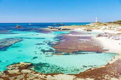 Rottnest Island All-Inclusive Grand Island Tour From Fremantle - Accommodation Mt buller 1
