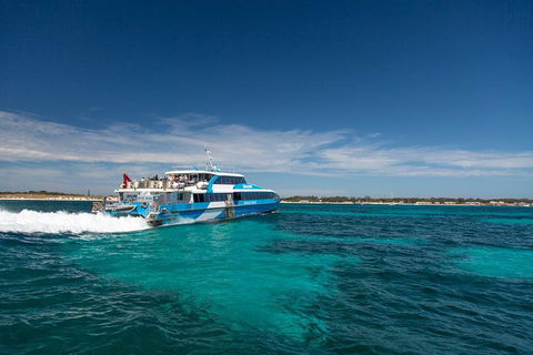 Rottnest Island All-Inclusive Grand Island Tour From Fremantle - Accommodation Mt buller 3