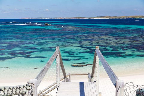 Rottnest Island All-Inclusive Grand Island Tour From Fremantle - Accommodation Mt buller 4