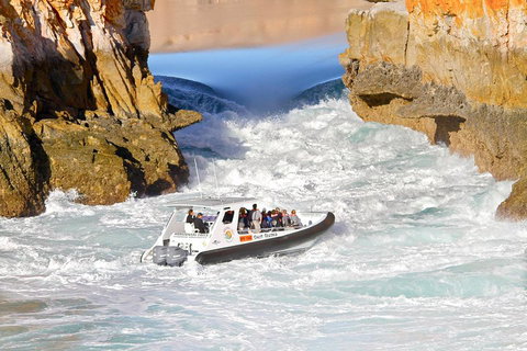 Horizontal Falls Half-Day Tour From Broome - Accommodation Mt Buller 1