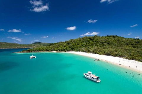 Whitehaven Beach And Hill Inlet | Awesome Beach BBQ | Family Friendly - Accommodation Mt Buller 3
