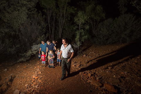 Alice Springs Desert Park Nocturnal Tour - Accommodation Mt Buller 0