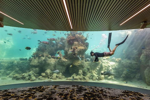 Whitehaven Beach And Daydream Island Cruise - Accommodation Mt Buller 4