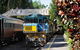 Kuranda Rainforest Station, Scenic Railway And Skyrail Tour - thumb 1