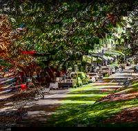 Fully Inclusive Blue Mountains Private Tour inc Scenic World  Featherdale entry
