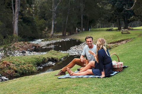 Mt Tamborine - Hinterland Wonders Self Guided - Accommodation Mt Buller 0