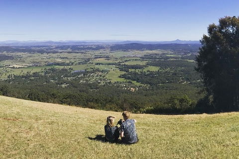 Mt Tamborine - Hinterland Wonders Self Guided - Accommodation Mt Buller 4