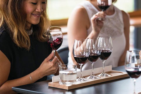 Adelaide Hills Regional / Hahndorf German Village Tour - Accommodation Mt Buller 5