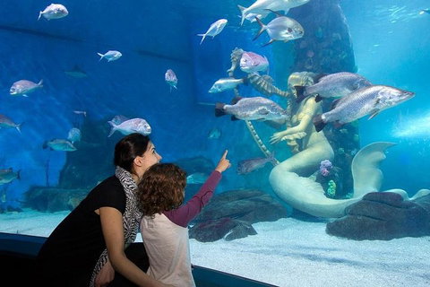 SEA LIFE Melbourne Aquarium Admission Ticket - Accommodation Mt buller 4