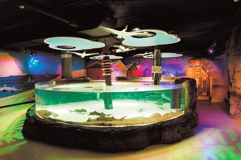 SEA LIFE Melbourne Aquarium Admission Ticket - Accommodation Mt buller 5