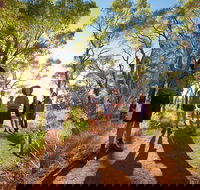 Uluru Small Group Tour including Sunset - Accommodation Mt Buller