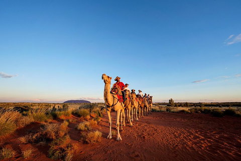 Uluru Small-Group Tour By Camel At Sunrise Or Sunset - Accommodation Mt Buller 3