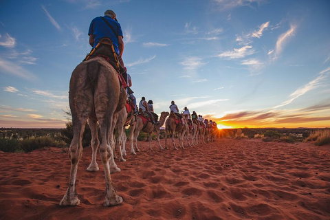 Uluru Small-Group Tour By Camel At Sunrise Or Sunset - Accommodation Mt Buller 5