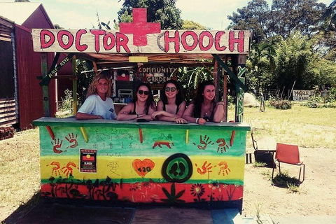 Byron Surrounds: Nimbin Waterfall Adventure - Swimming Tour - Accommodation Mt Buller 5