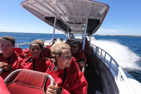 Adventure Rottnest Tour With Ferry & Adventure Cruise From Perth Or Fremantle - Accommodation Mt Buller 0