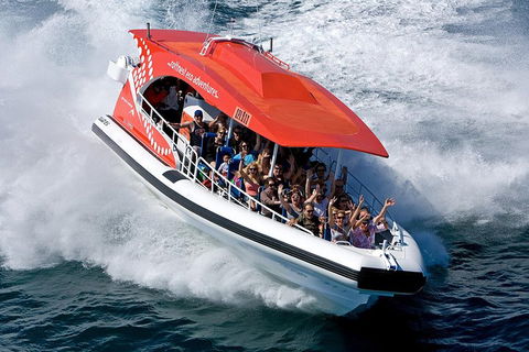 Adventure Rottnest Tour With Ferry & Adventure Cruise From Perth Or Fremantle - Accommodation Mt Buller 2