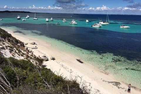 Experience Rottnest With Ferry & Bike Hire From Perth Or Fremantle - Accommodation Mt Buller 0