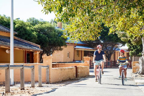 Experience Rottnest With Ferry & Bike Hire From Perth Or Fremantle - Accommodation Mt Buller 1
