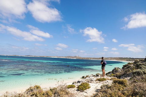 Experience Rottnest With Ferry & Bike Hire From Perth Or Fremantle - Accommodation Mt Buller 3