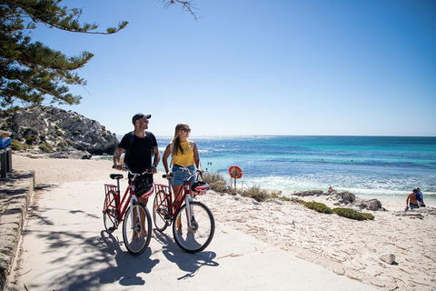 Experience Rottnest With Ferry & Bike Hire From Perth Or Fremantle - Accommodation Mt Buller 4