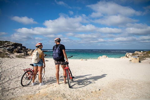 Experience Rottnest With Ferry & Bike Hire From Perth Or Fremantle - Accommodation Mt Buller 5