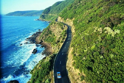 Melbourne Super Saver: Great Ocean Road + Mornington Peninsula + Attraction Pass - Accommodation Mt Buller 0