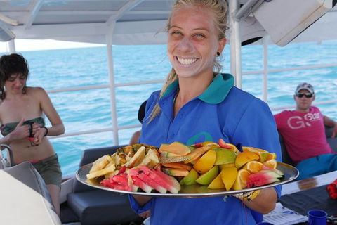 Ocean Free Green Island & Great Barrier Reef Snorkel Cruise, Cairns 25 Guests - Accommodation Mt Buller 1
