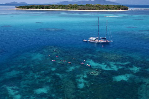 Ocean Free Green Island & Great Barrier Reef Snorkel Cruise, Cairns 25 Guests - Accommodation Mt Buller 2