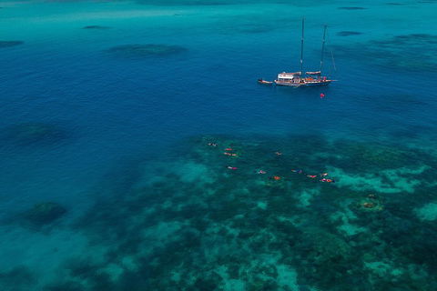 Ocean Free Green Island & Great Barrier Reef Snorkel Cruise, Cairns 25 Guests - Accommodation Mt Buller 5