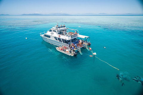 Ocean Freedom Great Barrier Reef Personal Luxury Snorkel & Dive Cruise, Cairns - Accommodation Mt buller 0