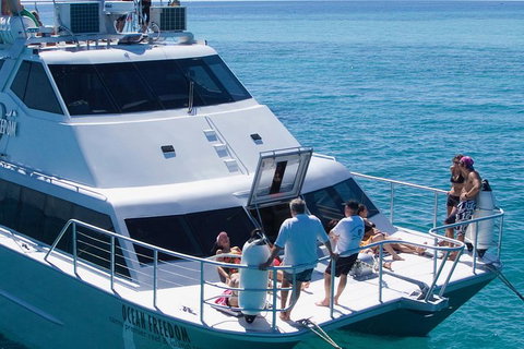 Ocean Freedom Great Barrier Reef Personal Luxury Snorkel & Dive Cruise, Cairns - Accommodation Mt buller 1