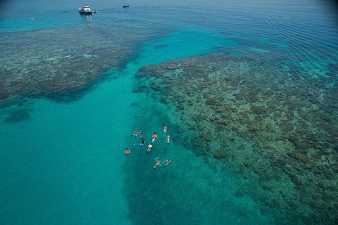Ocean Freedom Great Barrier Reef Personal Luxury Snorkel & Dive Cruise, Cairns - Accommodation Mt buller 3